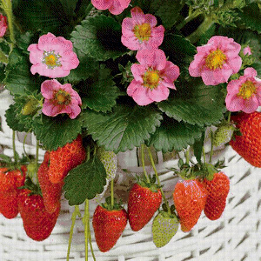 ягоды - картина ягоды - предпросмотр