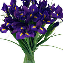 Схема вышивки «ириски»