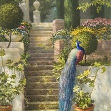 Схема вышивки «михаил сатаров 20 павлин»