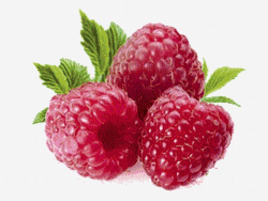 сладкая малинка - ягоды, фрукты, кухня, пано - предпросмотр