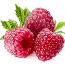 Схема вышивки «сладкая малинка»