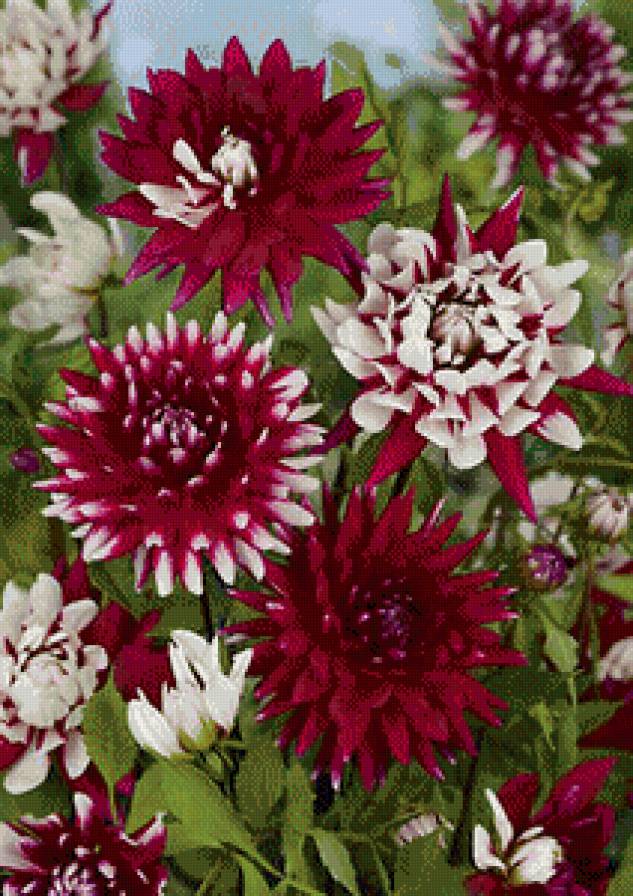 цветы - картина цветы - предпросмотр