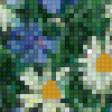 Предпросмотр схемы вышивки «васильки_200_1» (№564666)