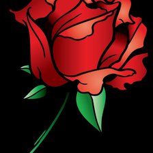 Роза на черном