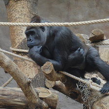 Схема вышивки «Мыслитель»