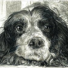 друг Мария Зельдис