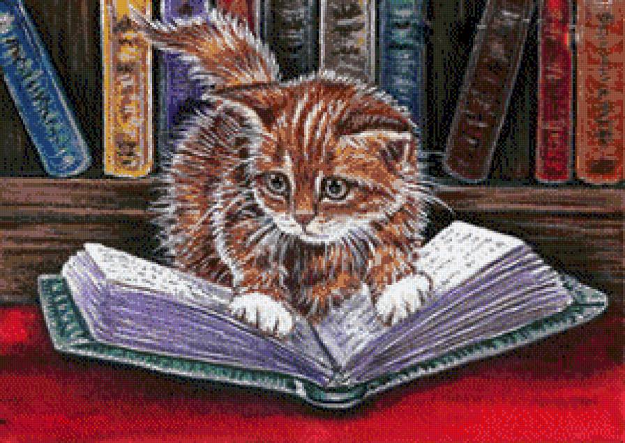 кот ученый - котики - предпросмотр