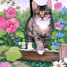 Схема вышивки «я гуляю сам по себе»