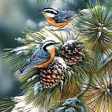 Схема вышивки «на шышке»