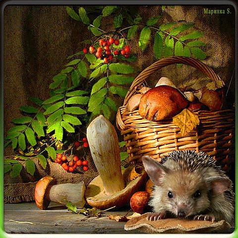 натюрморт с корзинкой - осень, листья, корзинка, натюрморт, еж, ежик, грибы - оригинал