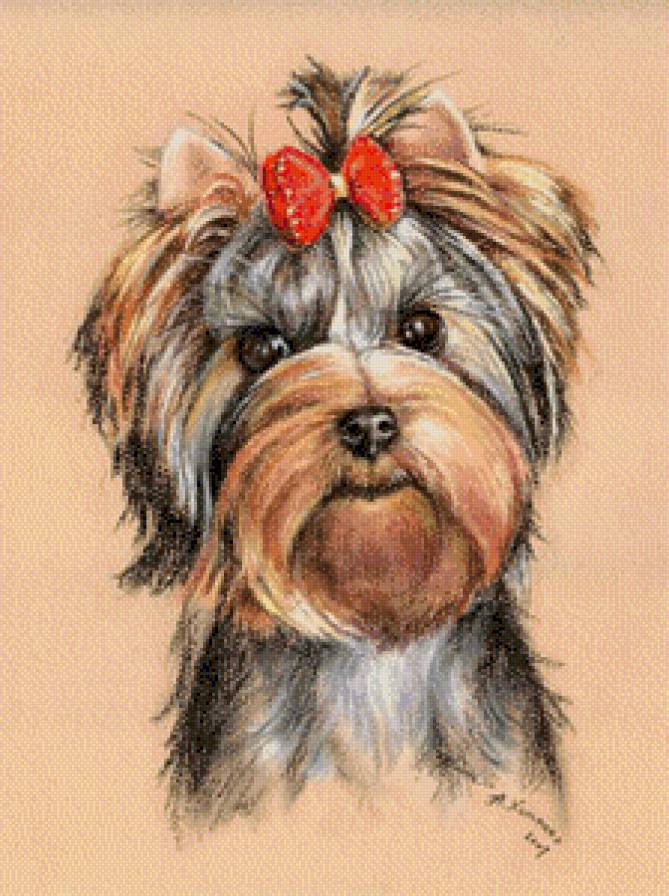 Sobačka - životnije, sobaki - предпросмотр