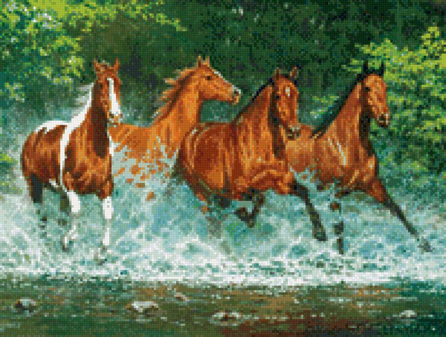 кони - предпросмотр