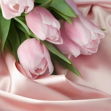 Схема вышивки «Тюльпан»