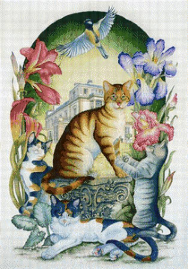 кот ученый - котики - предпросмотр