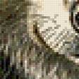 Предпросмотр схемы вышивки «Волк» (№565198)