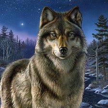 Схема вышивки «Волк»