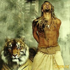 Схема вышивки «Таркан и тигр»