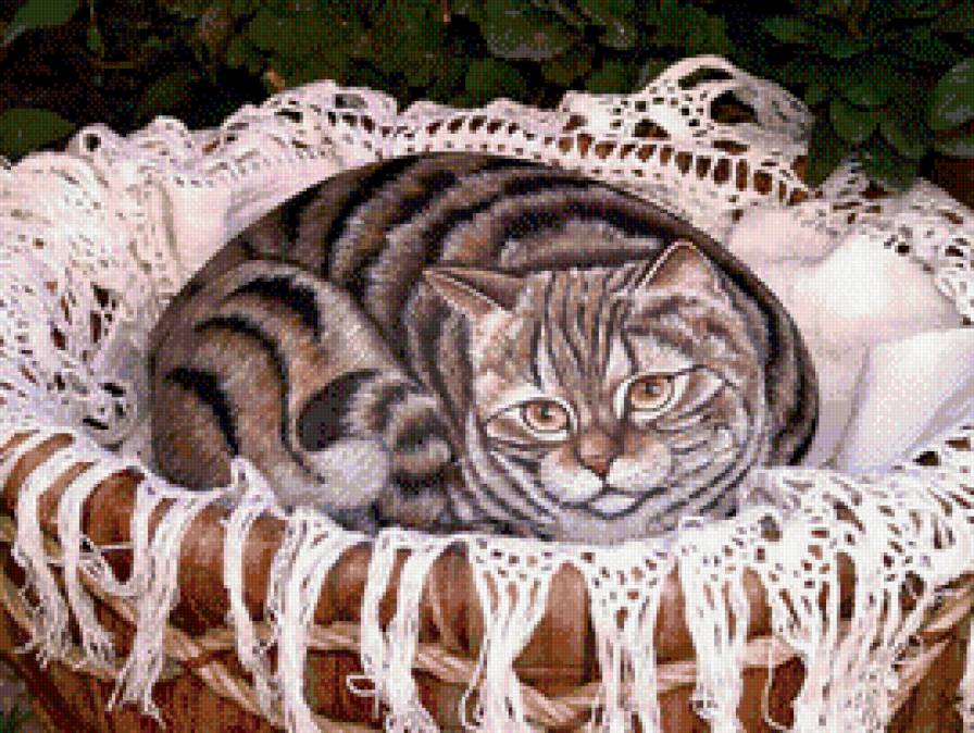 Котик - коты, животные - предпросмотр