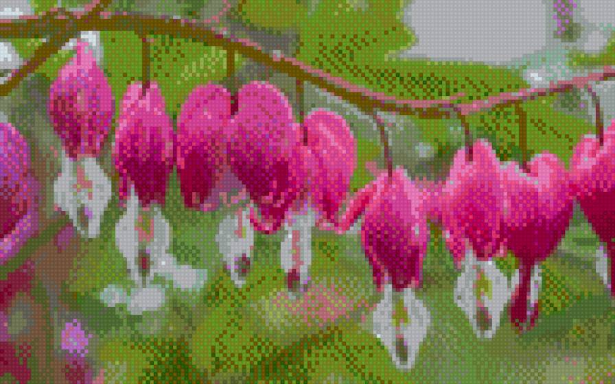 serduszka - kwiaty - предпросмотр