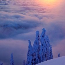 Схема вышивки «Легкость»