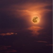 Схема вышивки «Медовая капля»