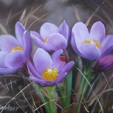 Подснежники