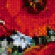 Предпросмотр схемы вышивки «Маки и земляника» (№565596)