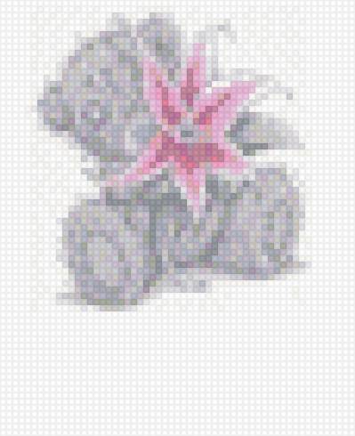 тедди - мишки тедди - предпросмотр