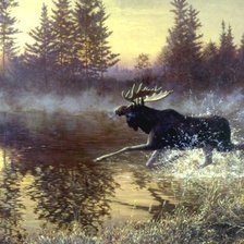 Схема вышивки «зов соперника»