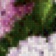 Предпросмотр схемы вышивки «букет сирени» (№565809)