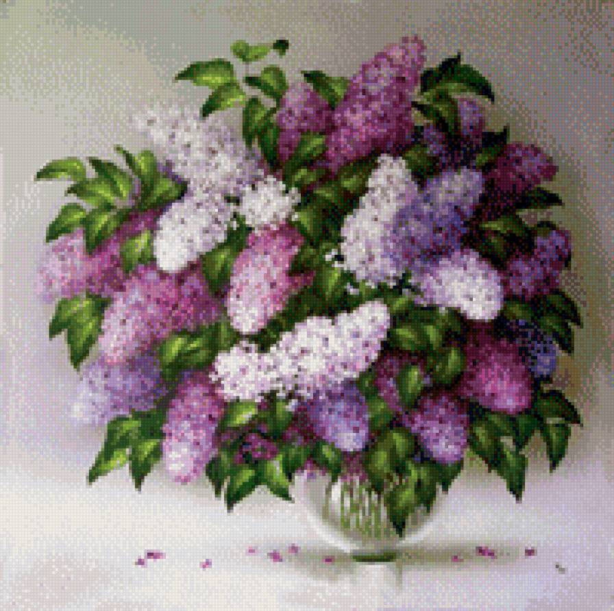 букет сирени - сирень, букет, ваза - предпросмотр