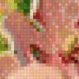 Предпросмотр схемы вышивки «№565829»