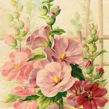 Схема вышивки «№565829»