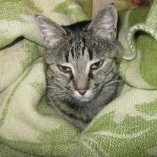 Схема вышивки «Дуня»