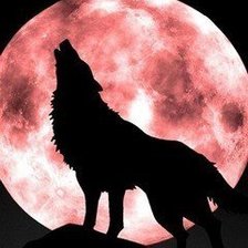 Схема вышивки «№565872»