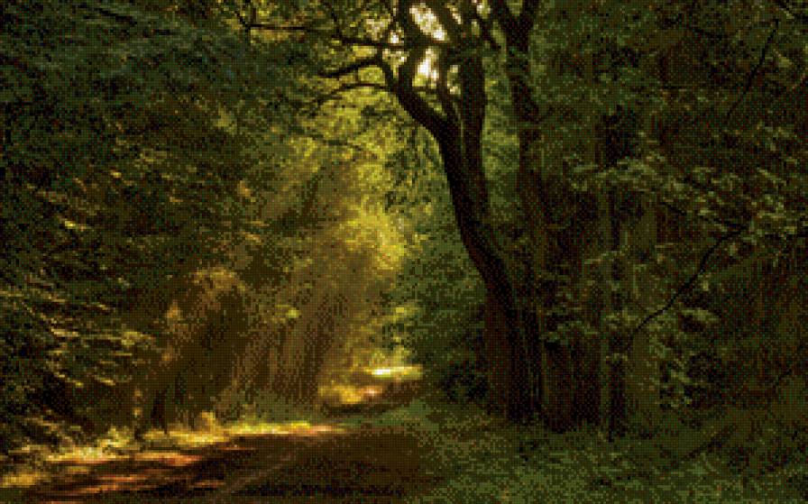 лес - лес, природа - предпросмотр