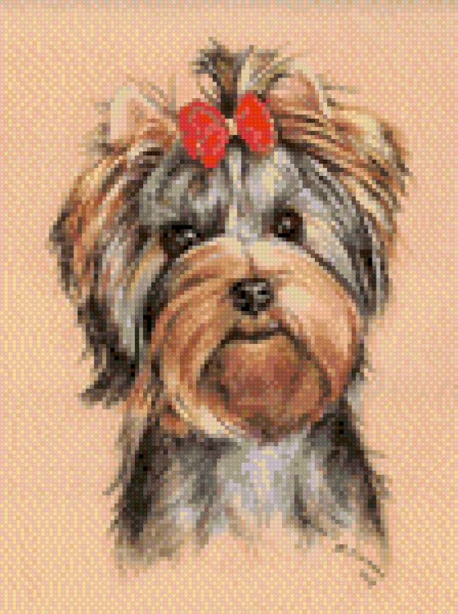 sobačka - sobaki, životnije - предпросмотр