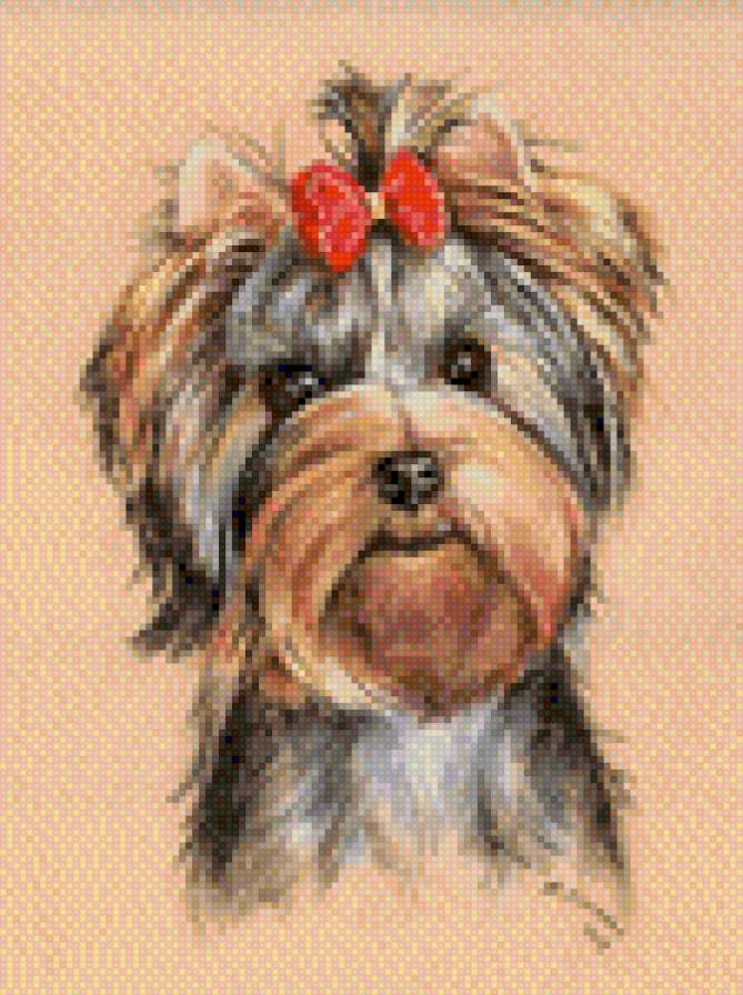 sobačka - sobaki, životnije - предпросмотр