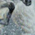 Предпросмотр схемы вышивки «игры на снегу» (№566001)