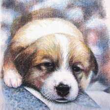 Схема вышивки «рисунок щенка»
