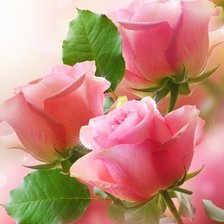 Схема вышивки «Розы»