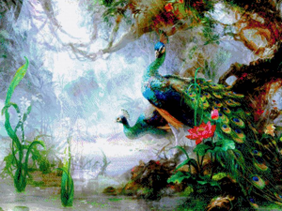 Павлины - павлины, птицы, природа, пейзаж - предпросмотр