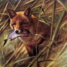 Схема вышивки «Лиса»