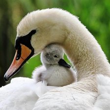 Схема вышивки «мать и дитя»