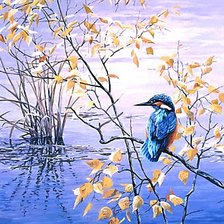 Схема вышивки «зимородок»