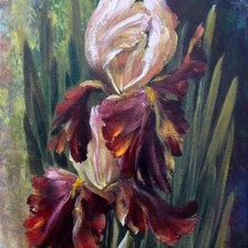 Схема вышивки «Irys»