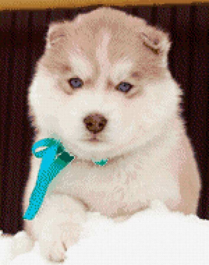 хэй-хэй - предпросмотр