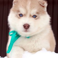 Схема вышивки «хэй-хэй»