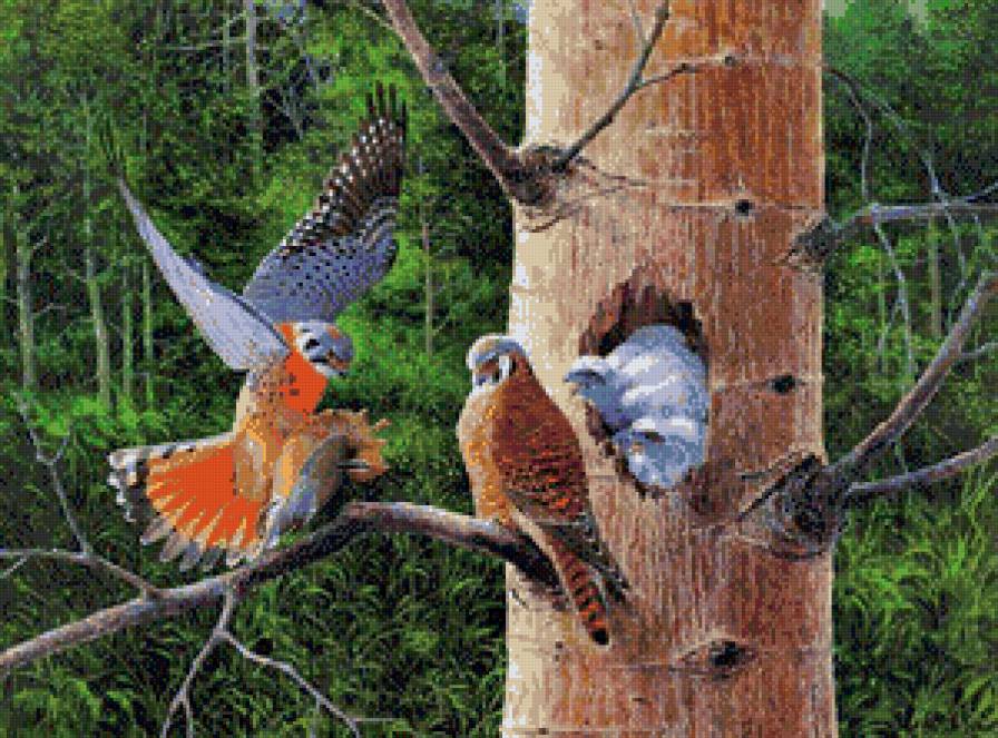 добытчик - картина, птицы - предпросмотр