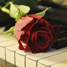 Схема вышивки «Вдохновение»